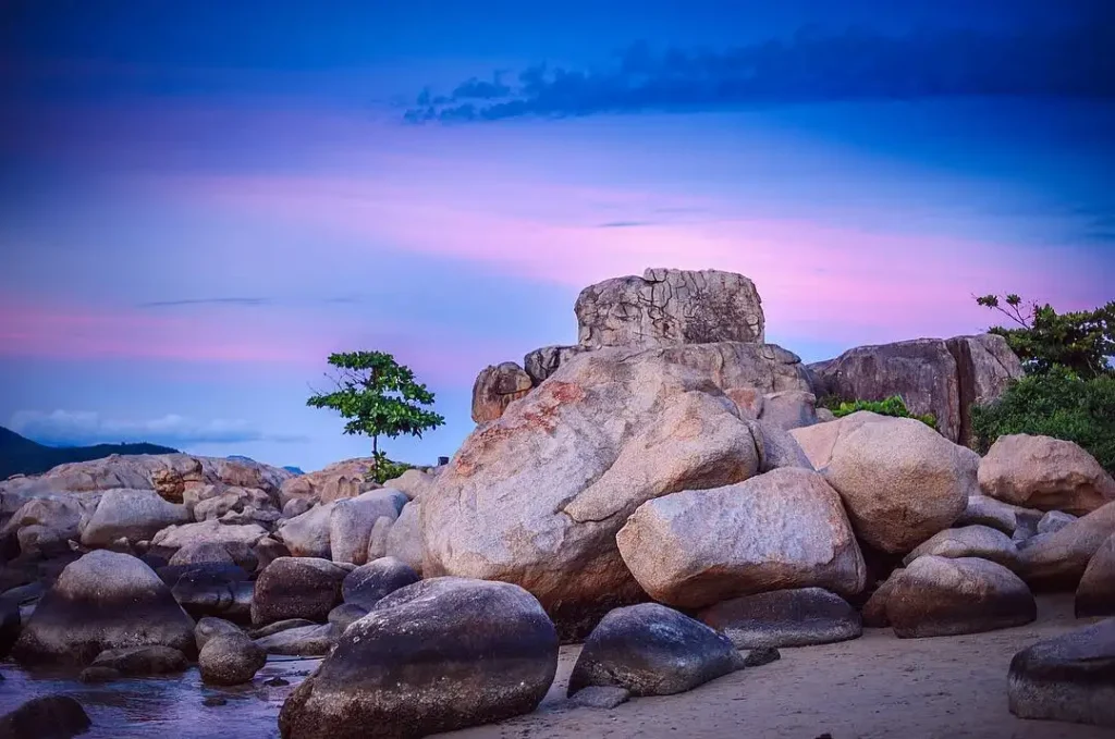 ktour-nha-trang-hon-chong