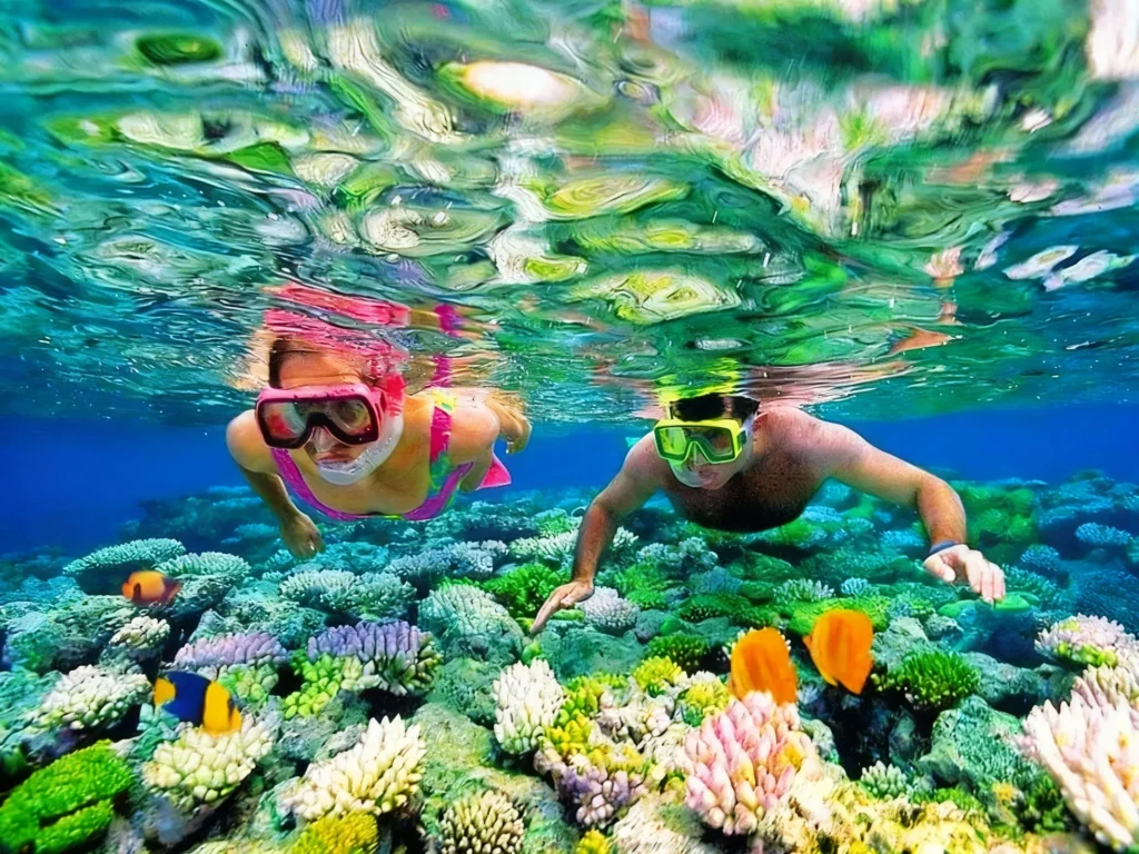ktour-nha-trang-tour-4-dao-lan-bien