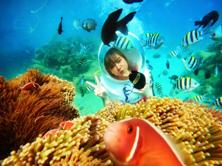 Tour Đi Bộ Dưới Đáy Biển Nha Trang